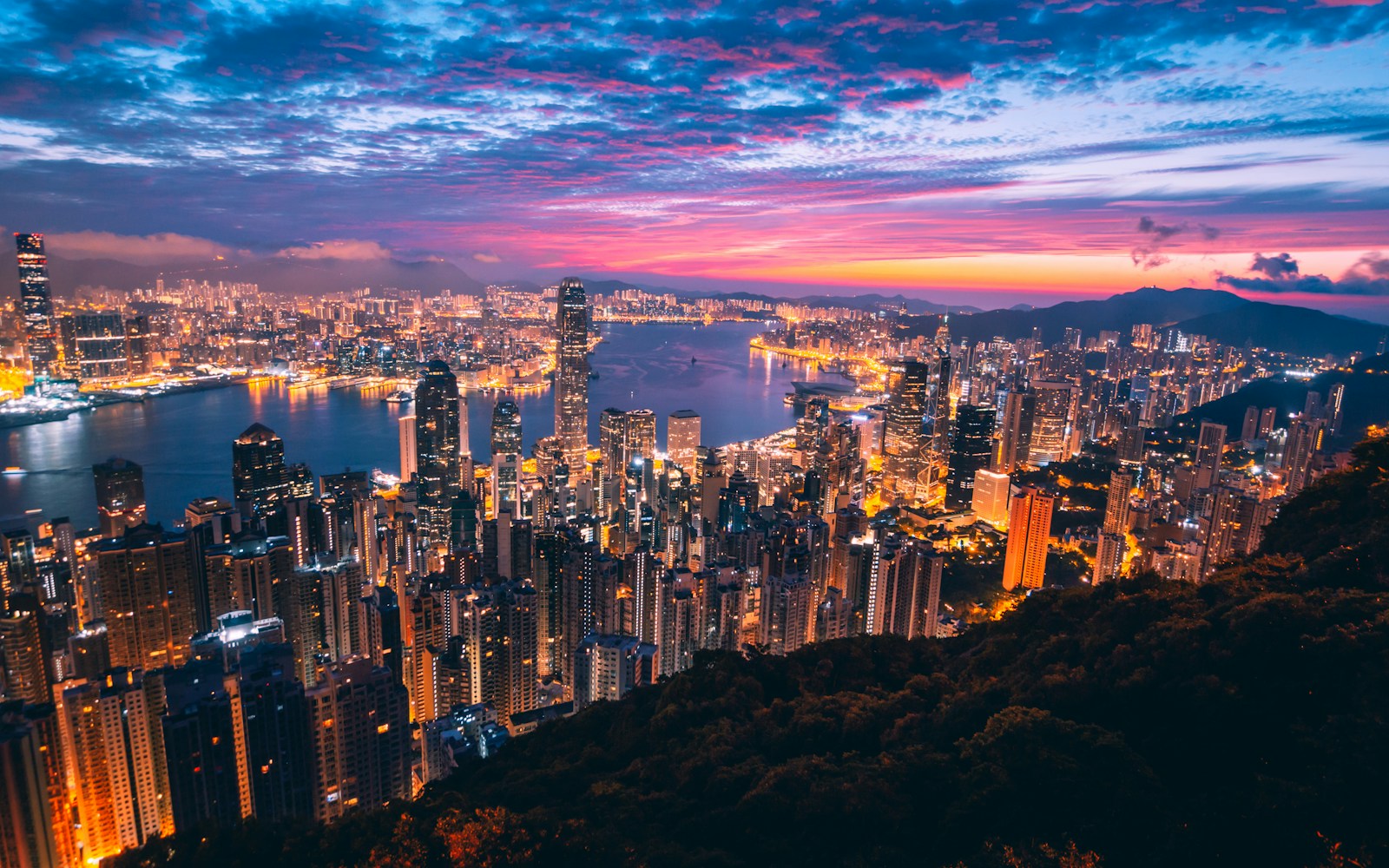 Expert Witness Services — Hong Kong skyline